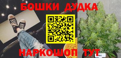 стафф Краснознаменск