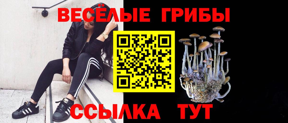 Псилоцибиновые грибы GOLDEN TEACHER  Галлюциногенные грибы мицелий  Вход с VPN  Заволжье 